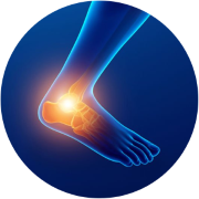 GoChamps Ankle Support