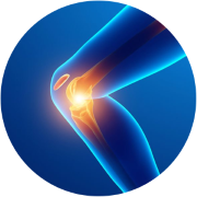 GoChamps Knee Support