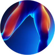 GoChamps Thigh Support